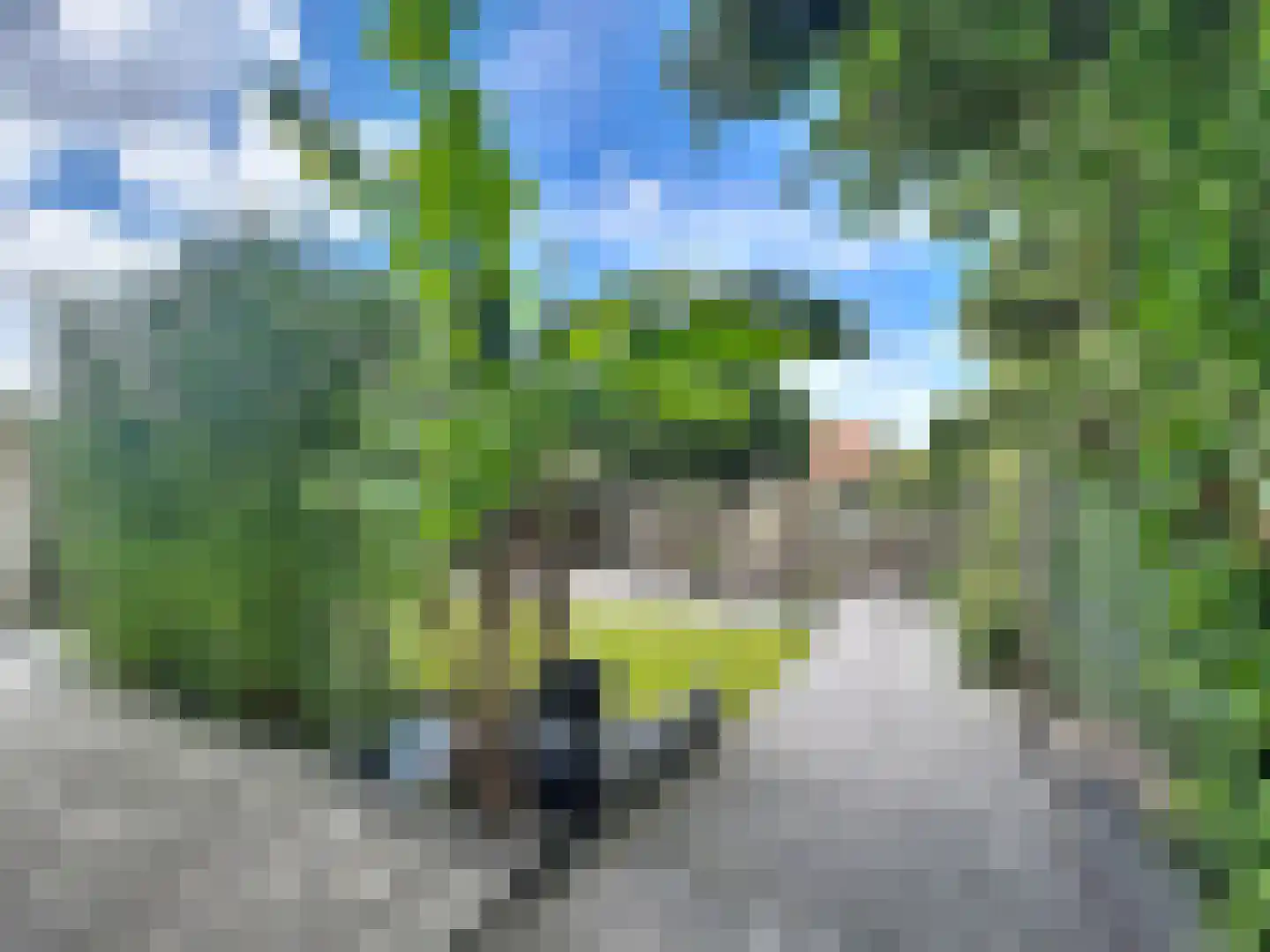 Weststraat 4 Biervliet thumbnail 16