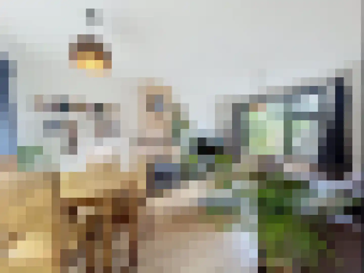 Weststraat 4 Biervliet thumbnail 5