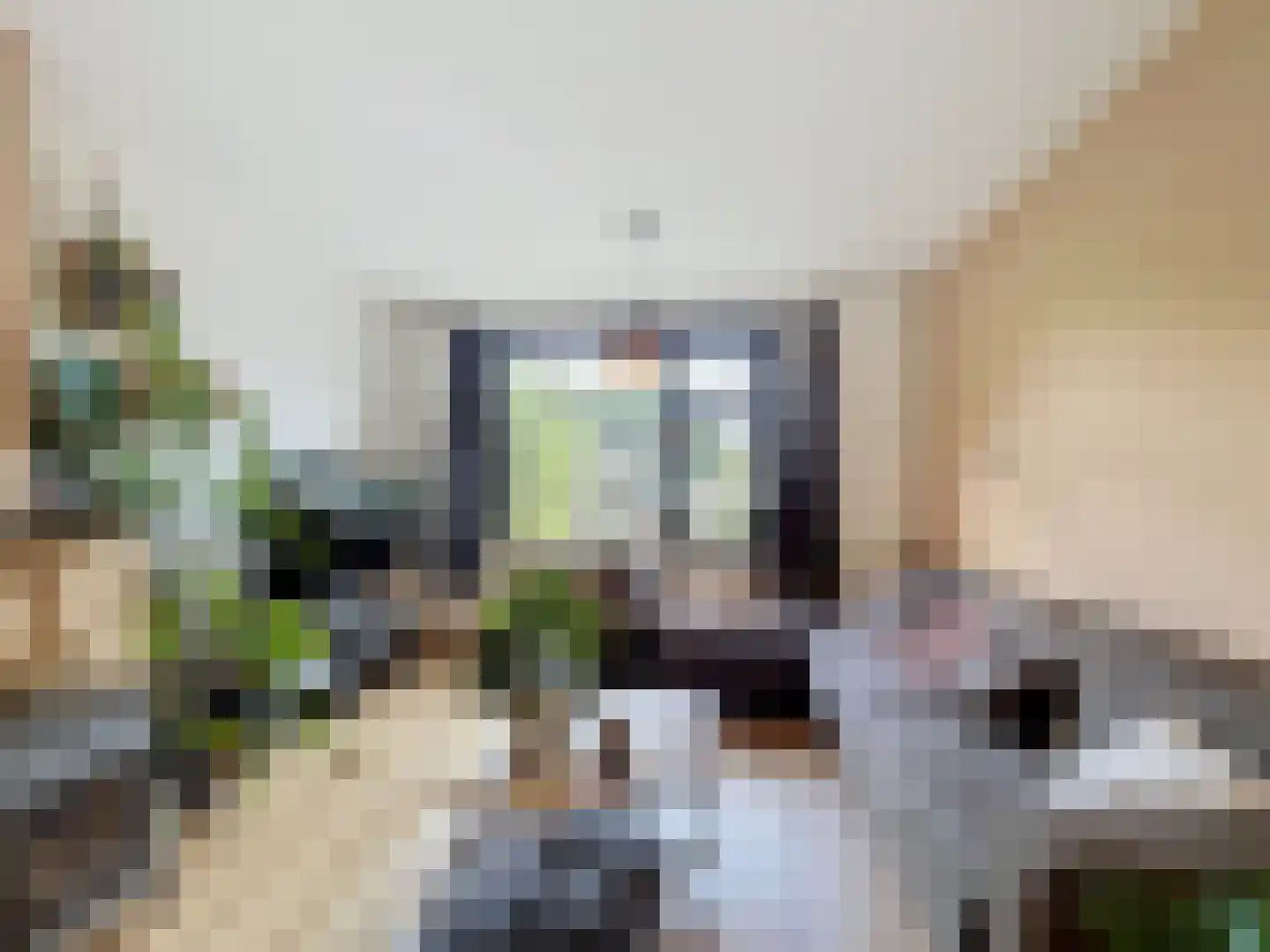 Weststraat 4 Biervliet thumbnail 6