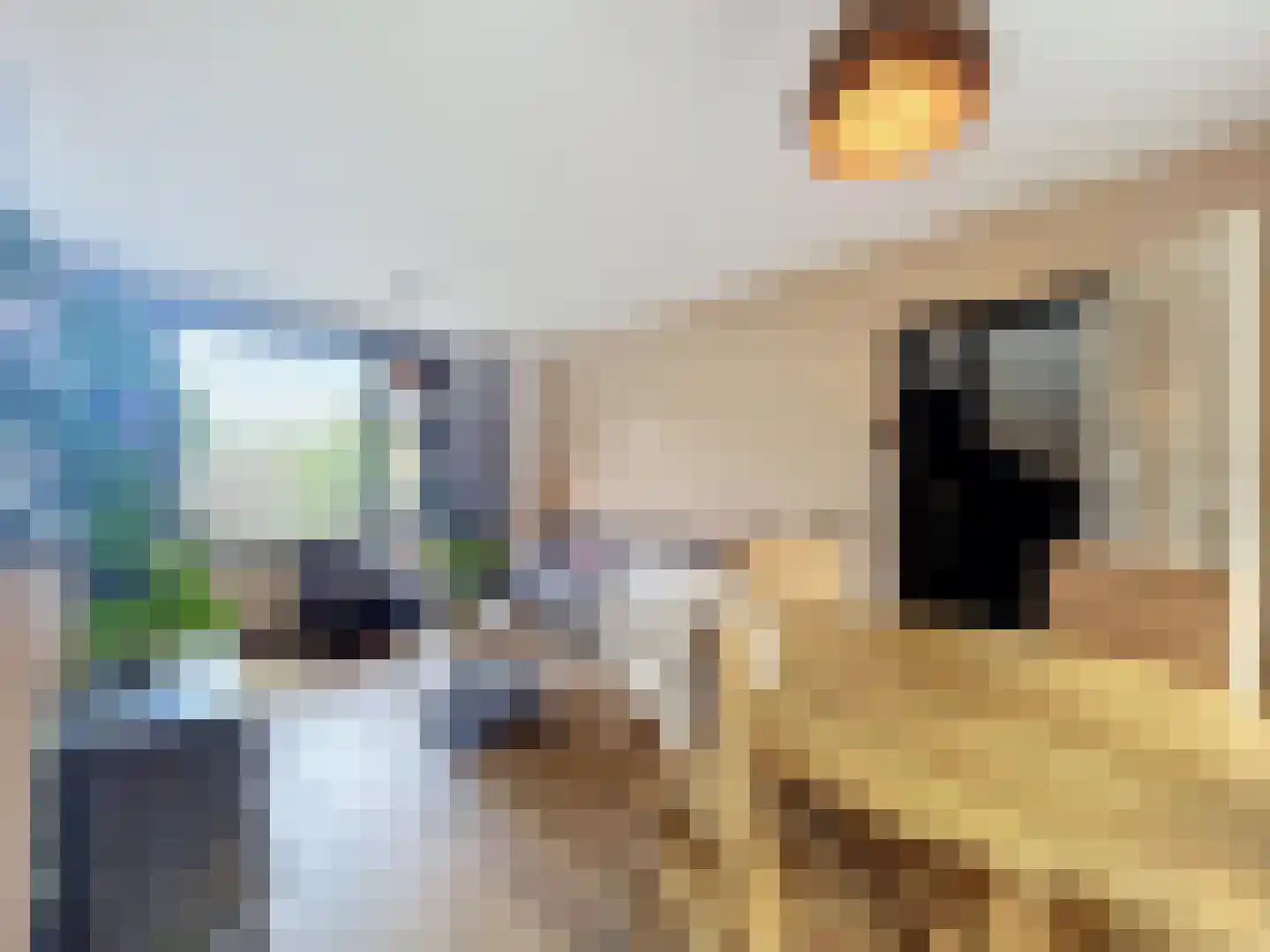 Weststraat 4 Biervliet thumbnail 7