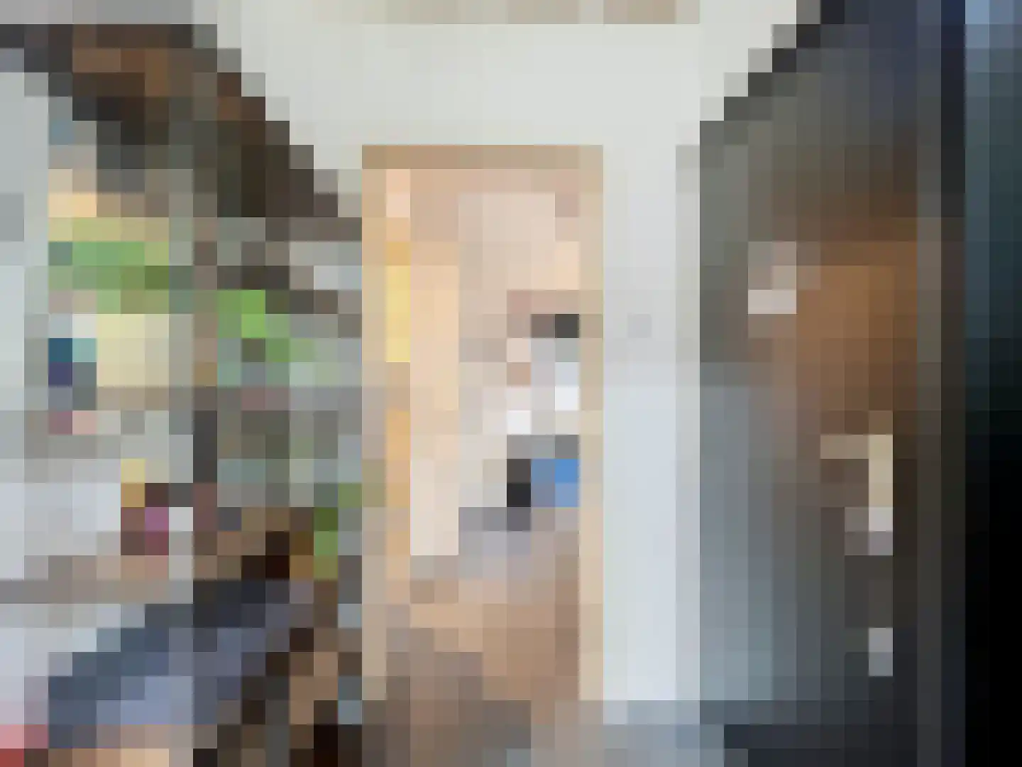 Weststraat 4 Biervliet thumbnail 8