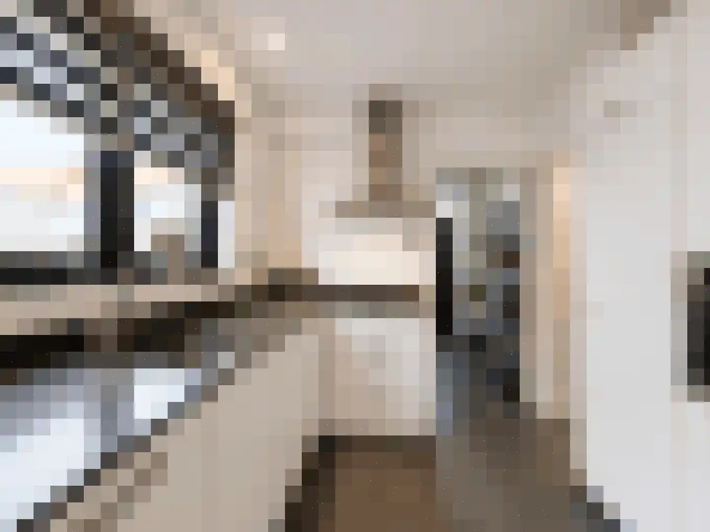 Weststraat 4 Biervliet thumbnail 9