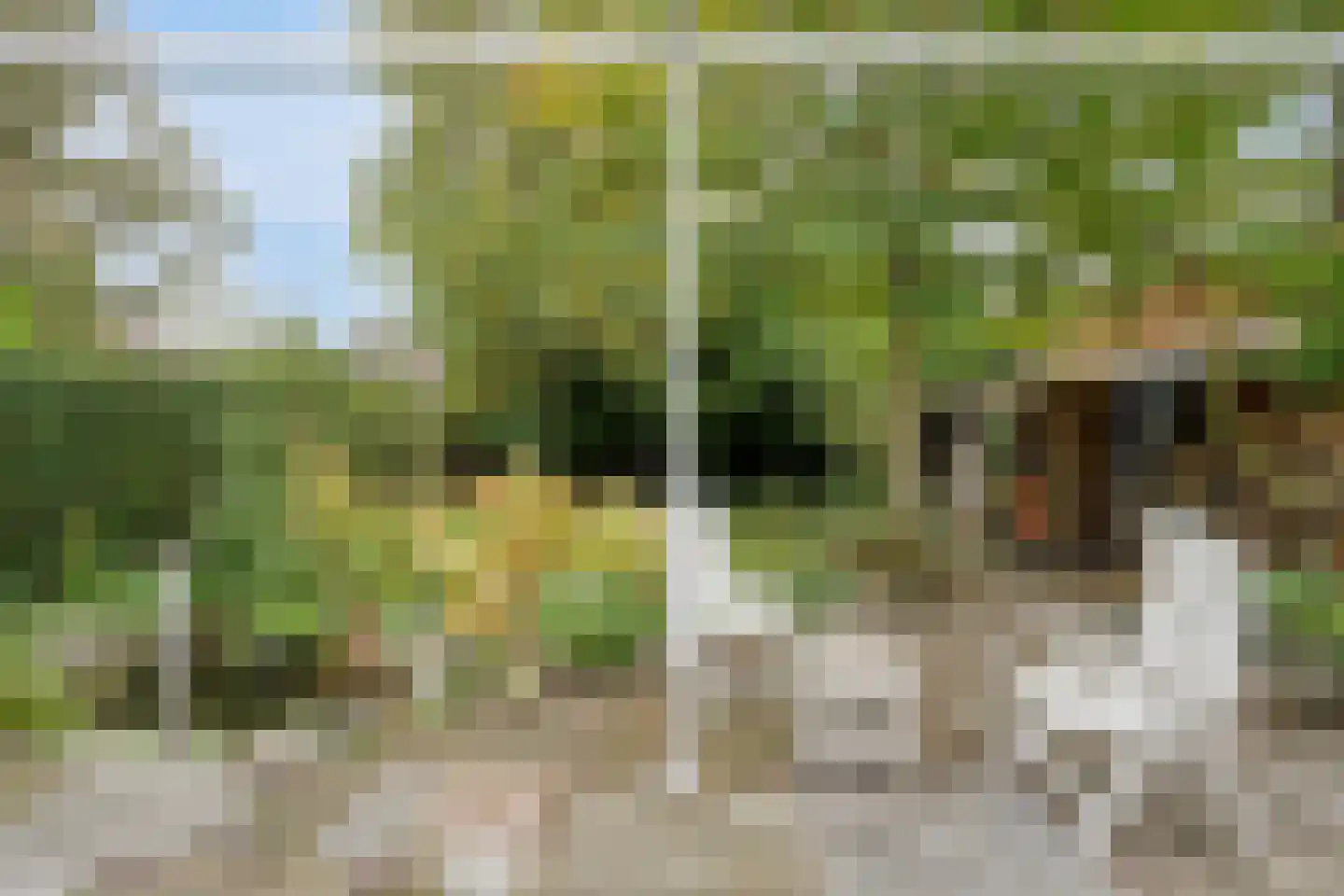 Weststraat 4 Oostburg thumbnail 23