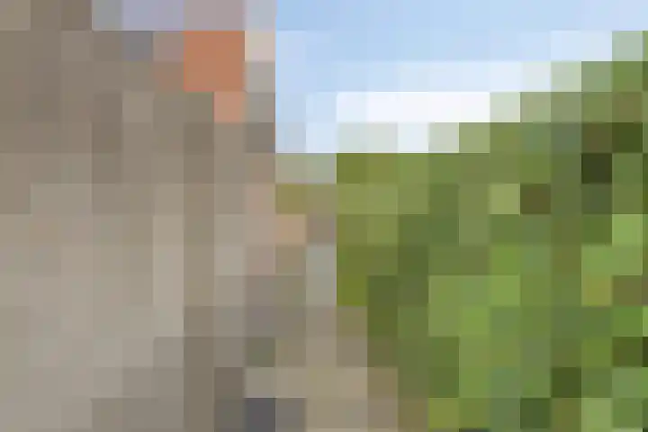 Weststraat 4 Zierikzee thumbnail 29