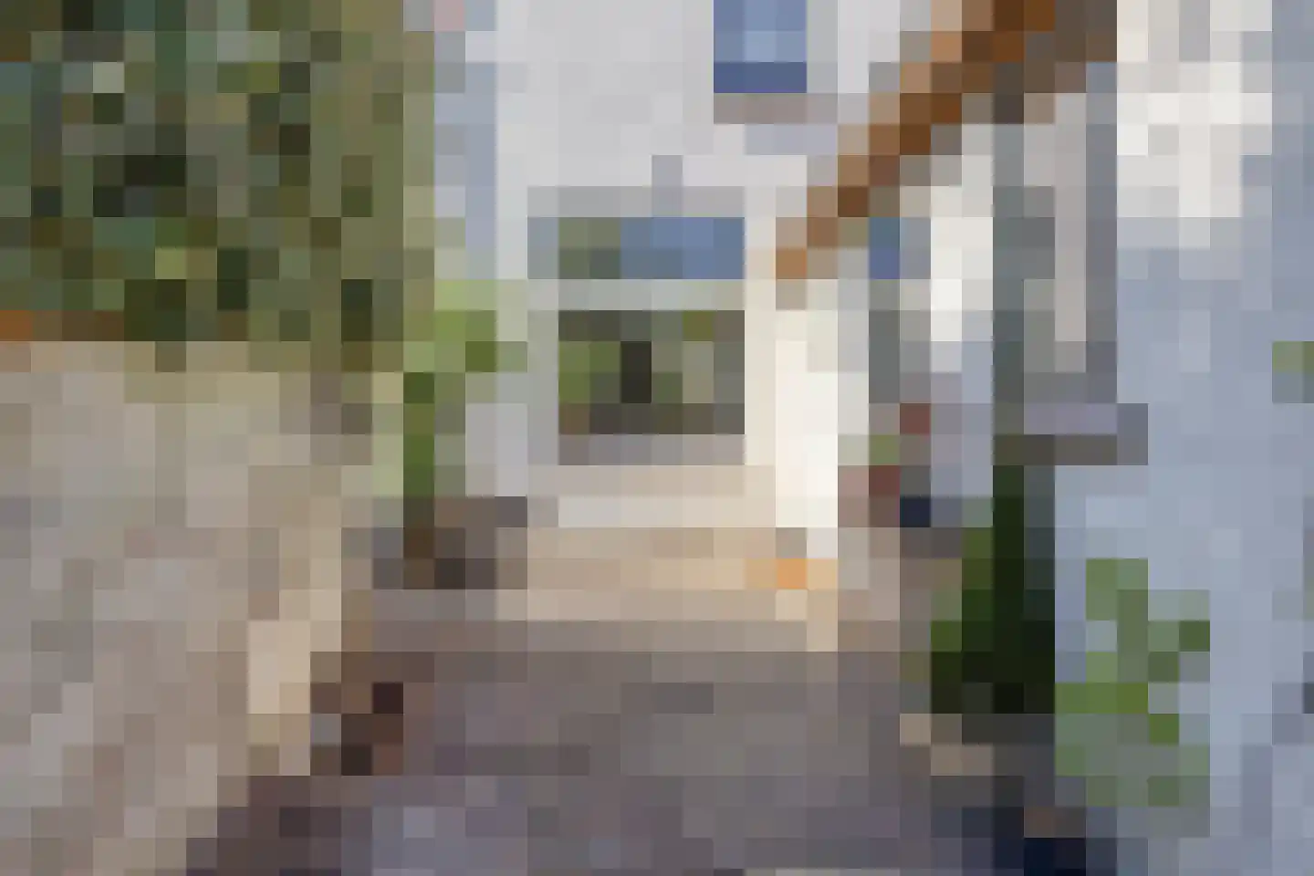 Weststraat 41 Zierikzee thumbnail 30