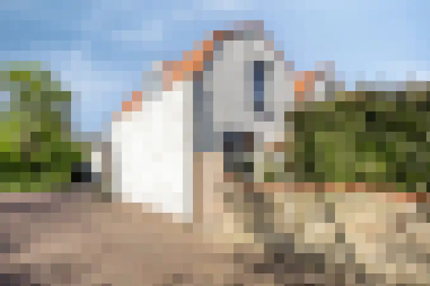 Weststraat 41 Zierikzee thumbnail 32