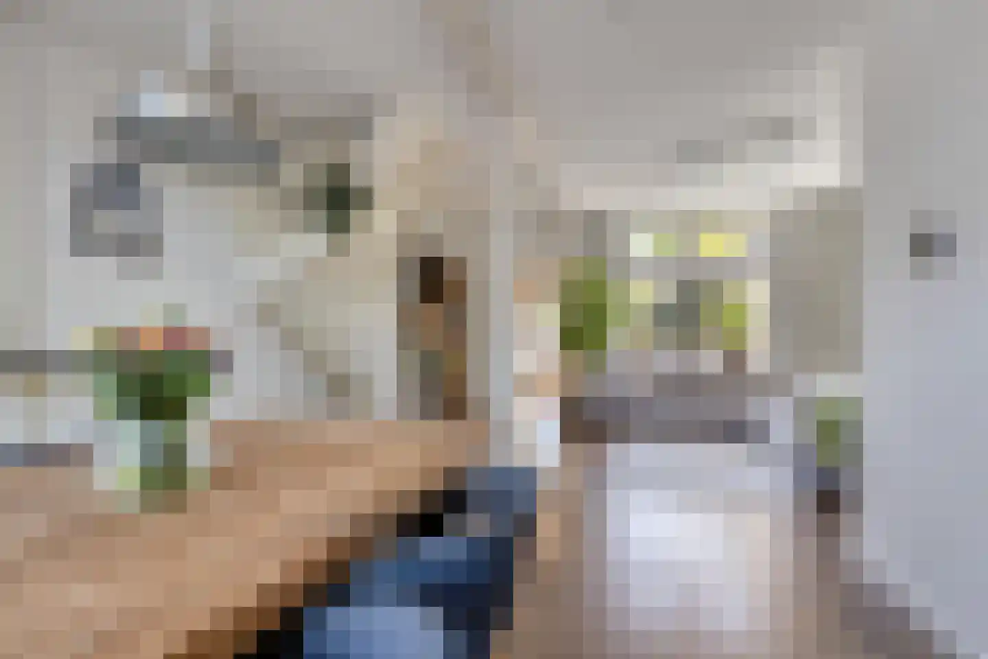 Weststraat 41 Zierikzee thumbnail 5