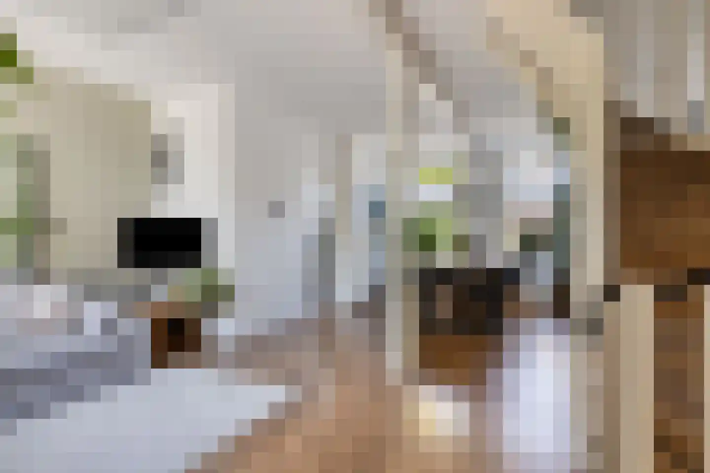 Weststraat 41 Zierikzee thumbnail 7