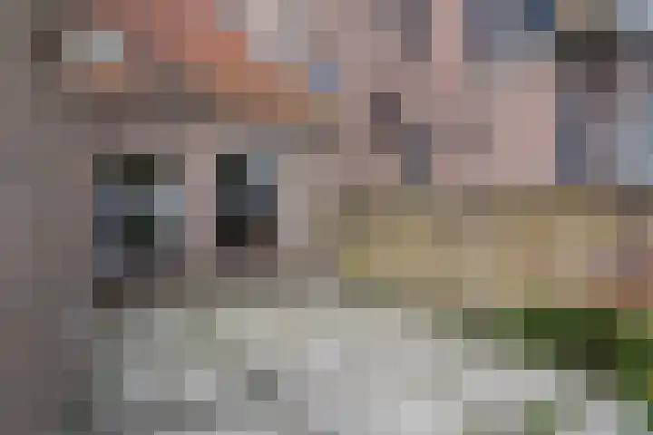 Weststraat 42 Aardenburg thumbnail 41