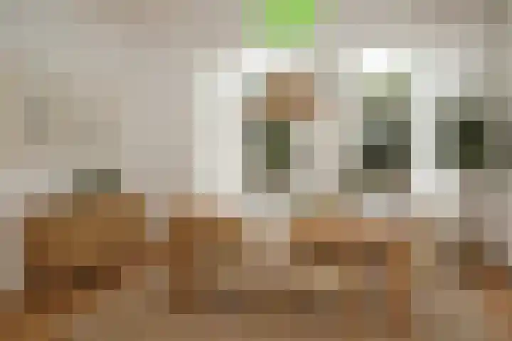 Weststraat 42 Aardenburg thumbnail 7