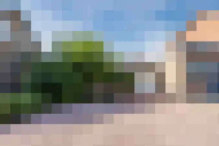Weststraat 42 Philippine thumbnail 29