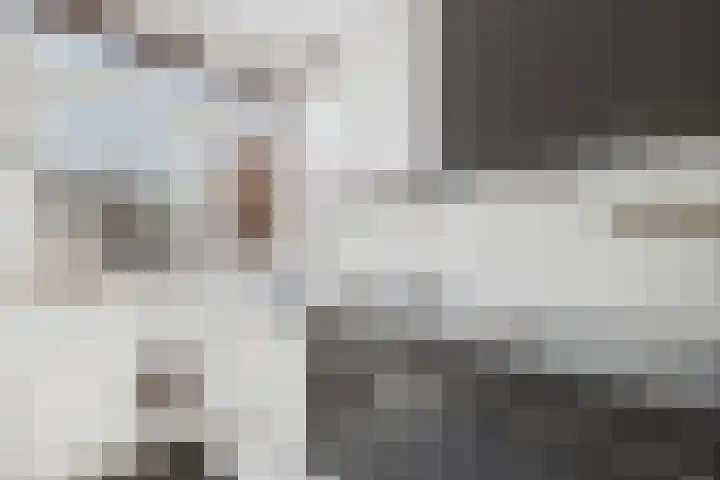Weststraat 5 Zaamslag thumbnail 10