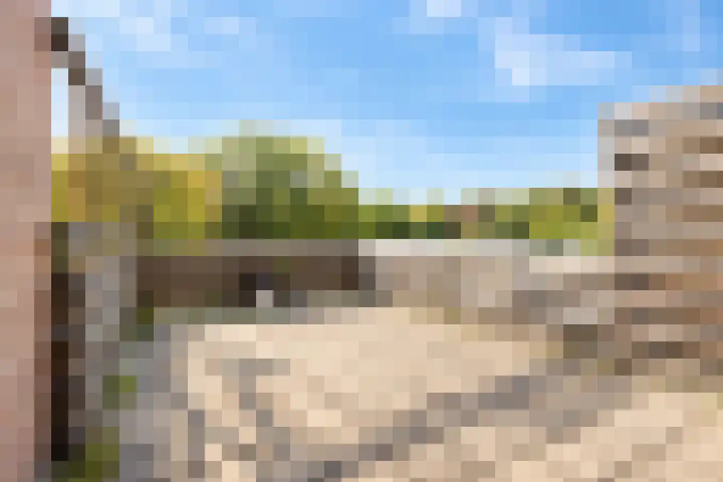 Weststraat 51 Axel thumbnail 16