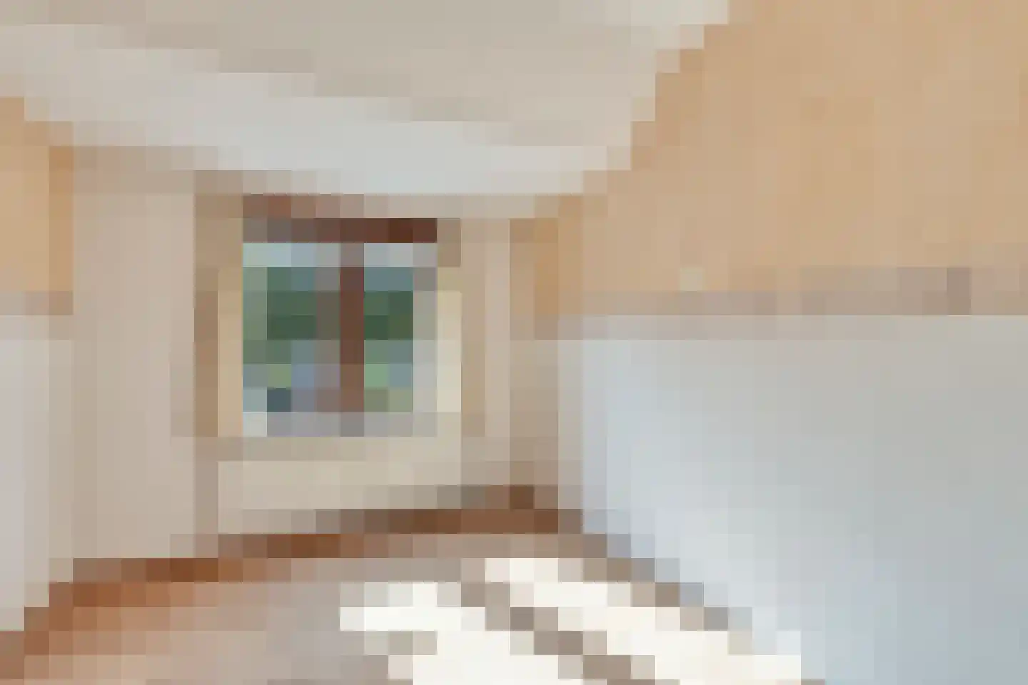 Weststraat 51 Axel thumbnail 18