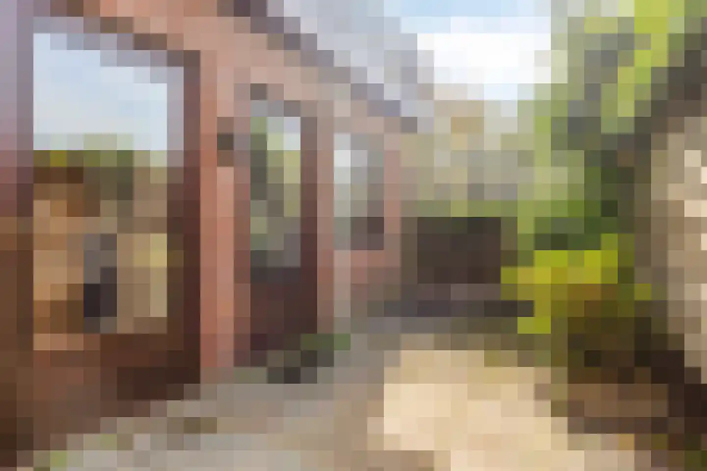 Weststraat 51 Axel thumbnail 20