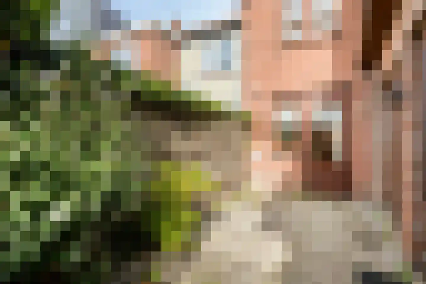 Weststraat 51 Axel thumbnail 21