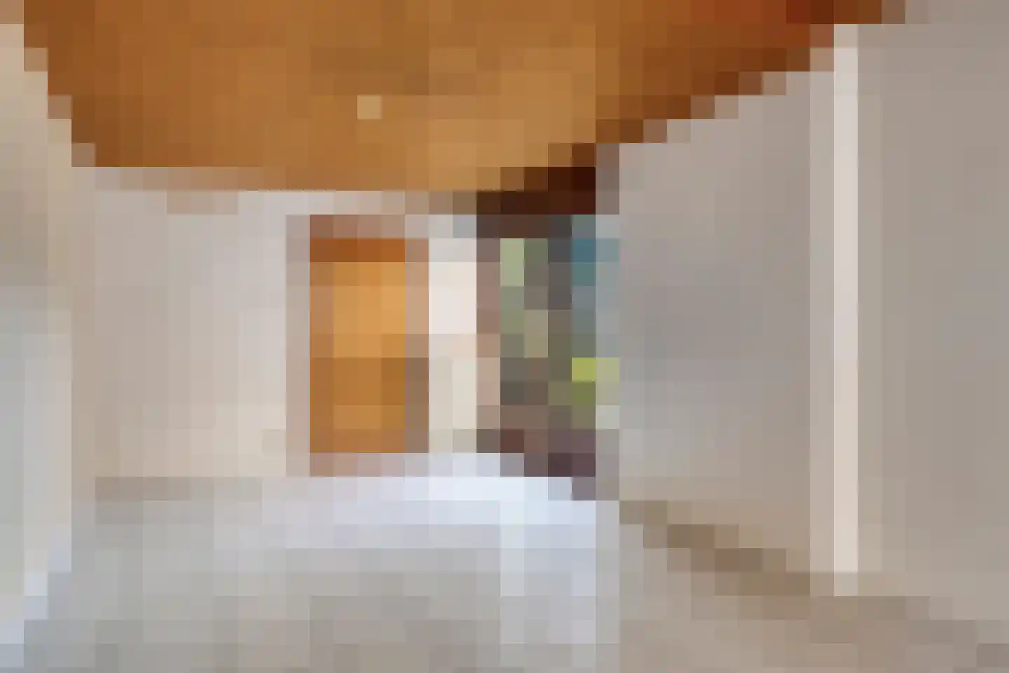 Weststraat 51 Axel thumbnail 7