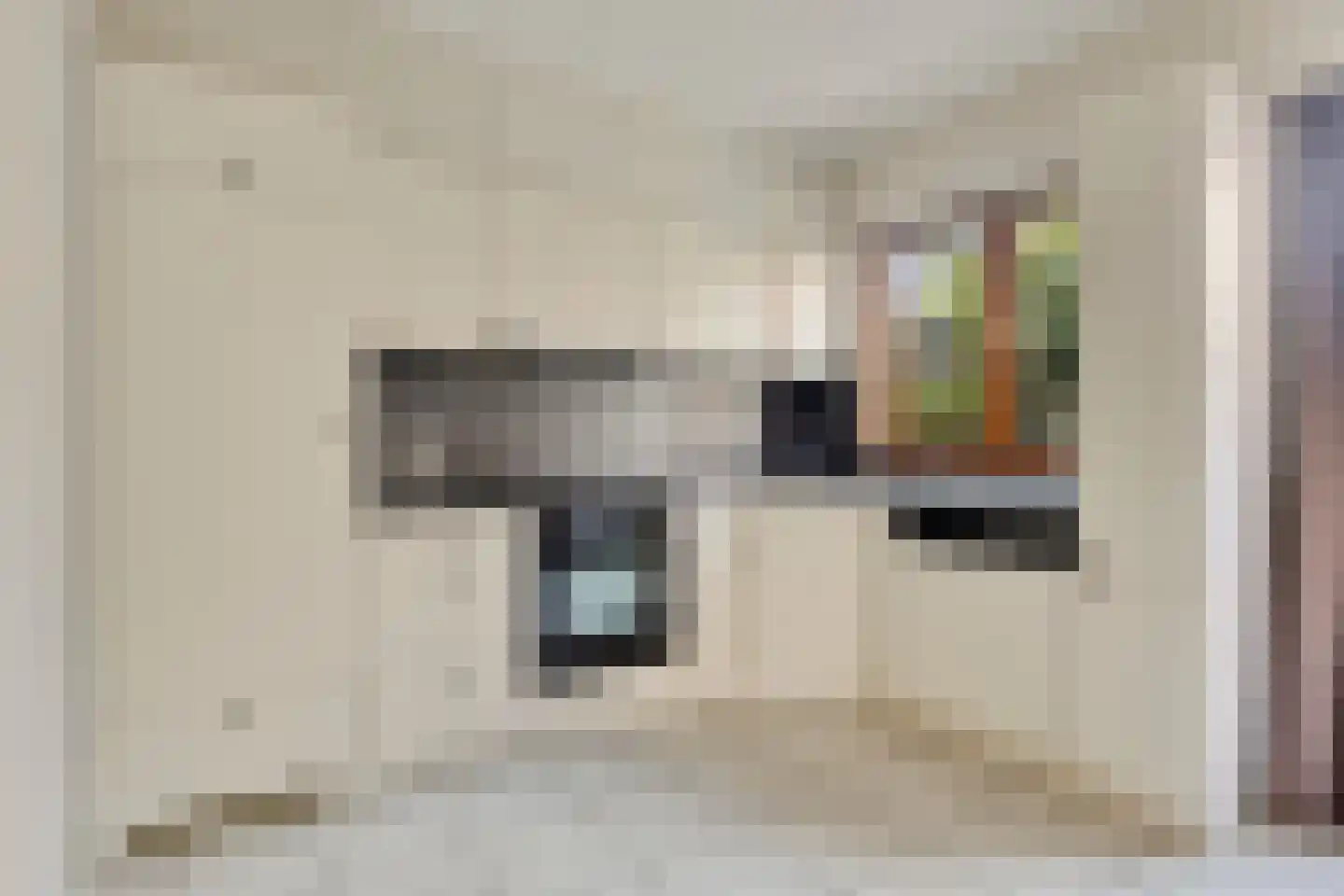 Weststraat 51 Axel thumbnail 9