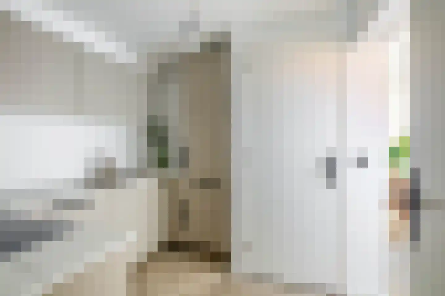 Weststraat 52 b Axel thumbnail 17