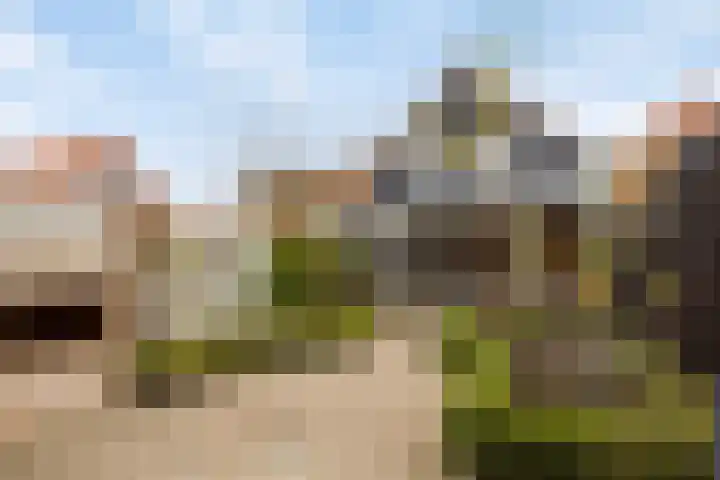 Weststraat 6 Sint-Annaland thumbnail 44