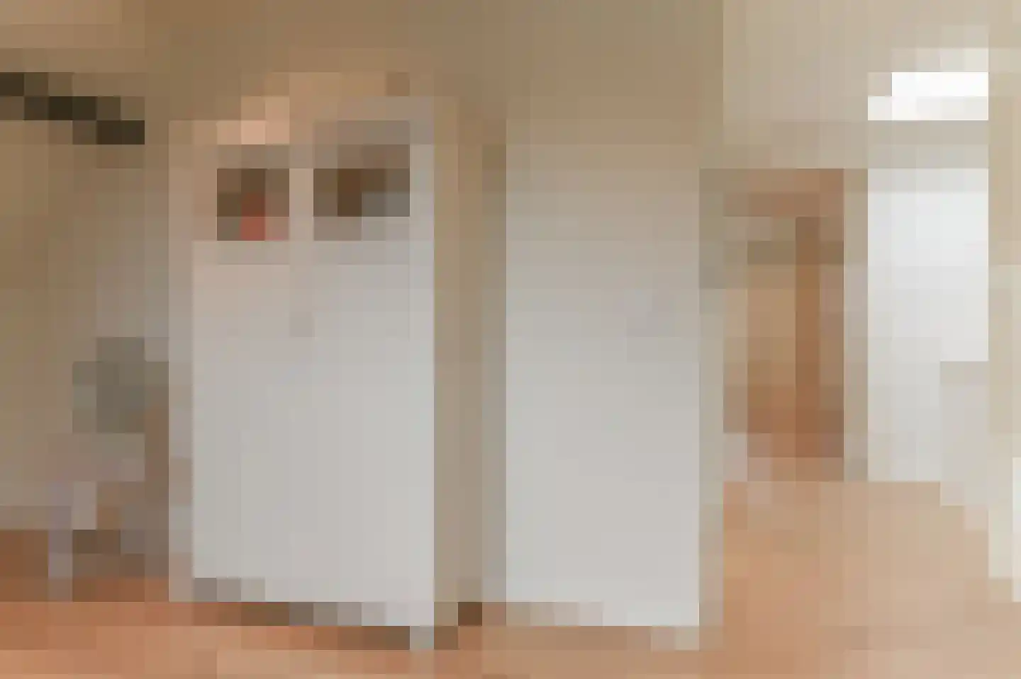 Weststraat 67 Aardenburg thumbnail 38