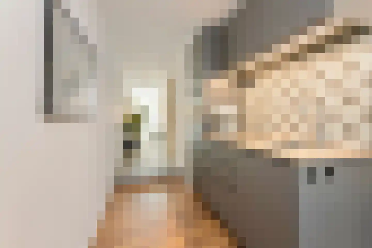 Weststraat 7 Axel thumbnail 14