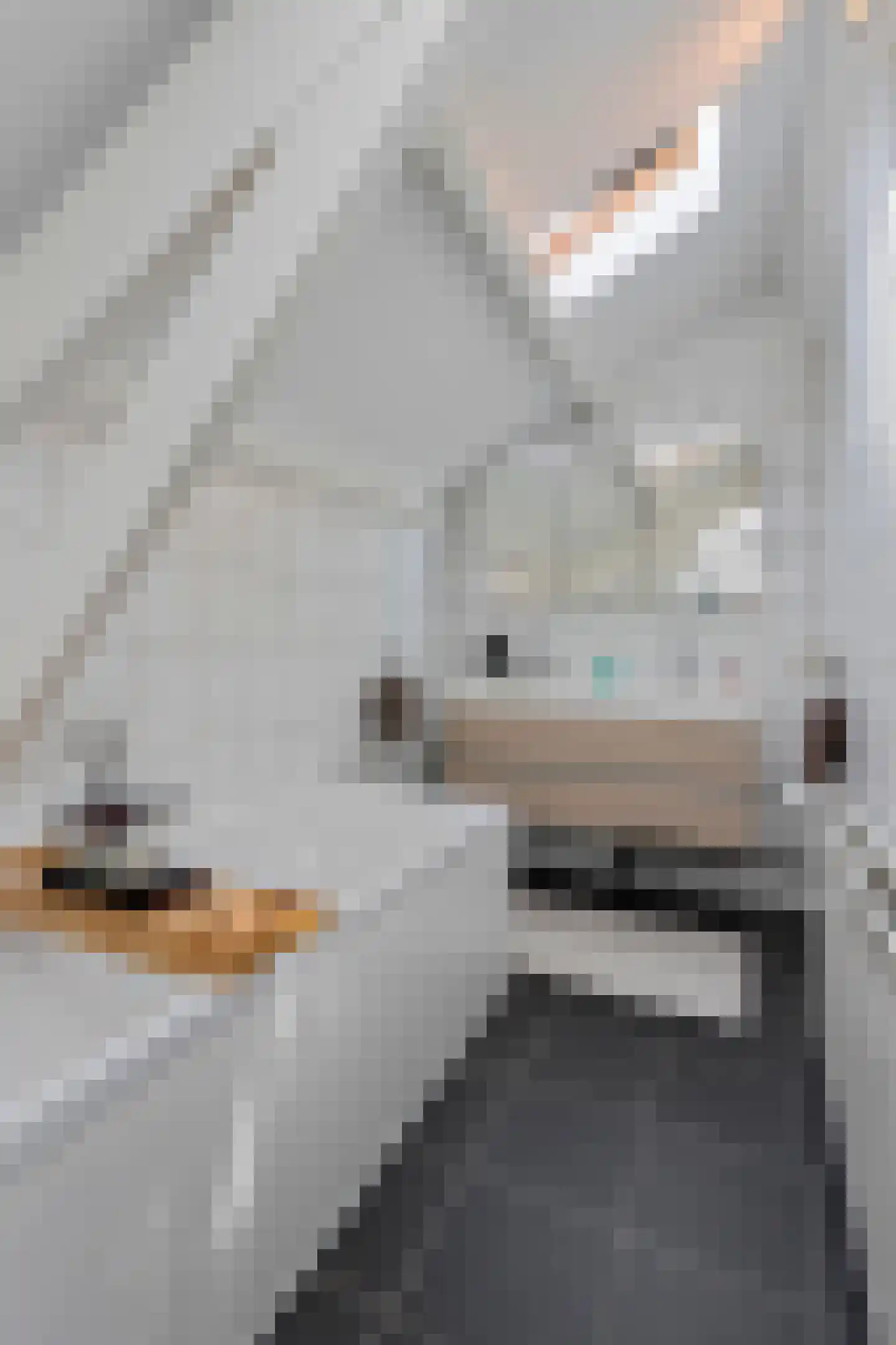 Weststraat 7 Axel thumbnail 33