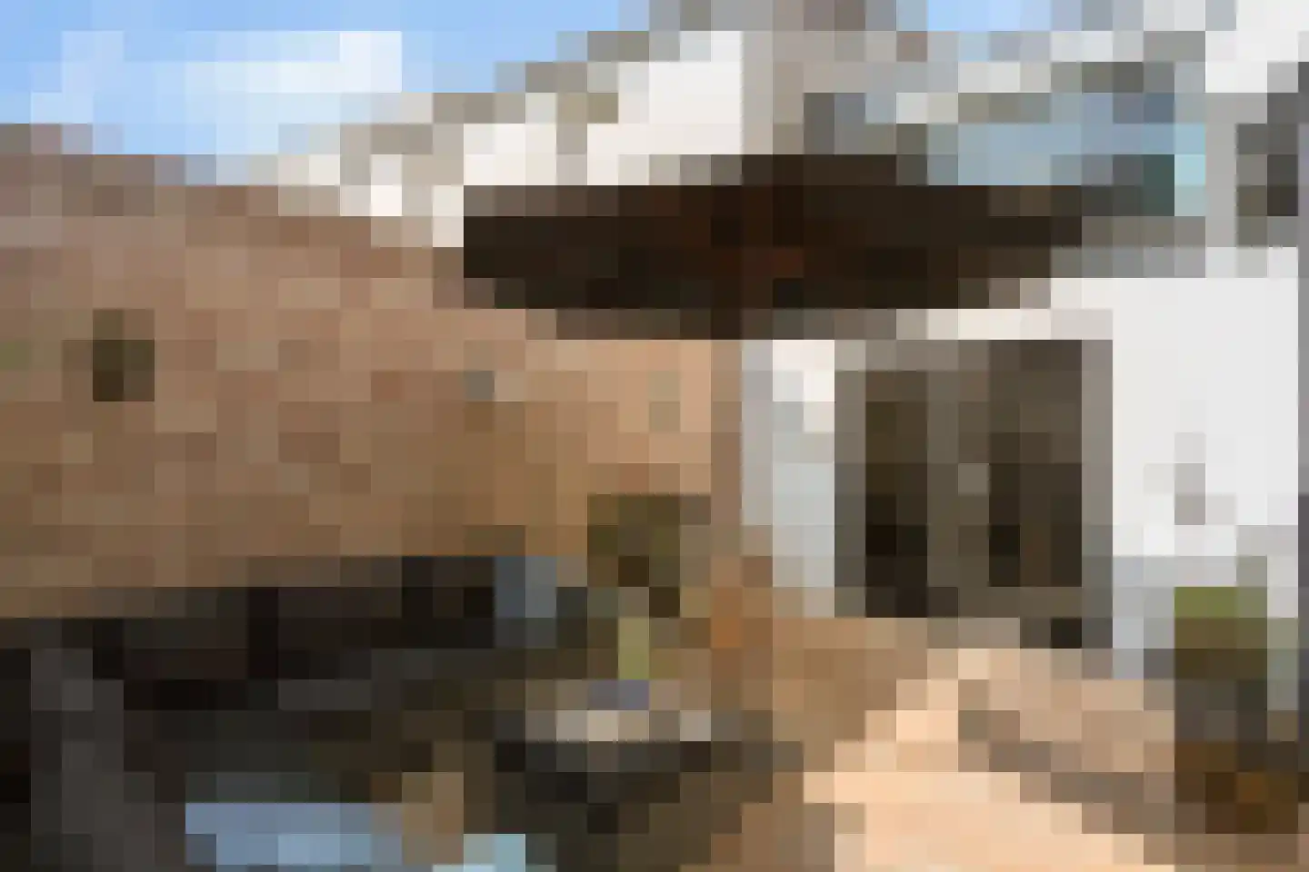 Weststraat 7 Axel thumbnail 38