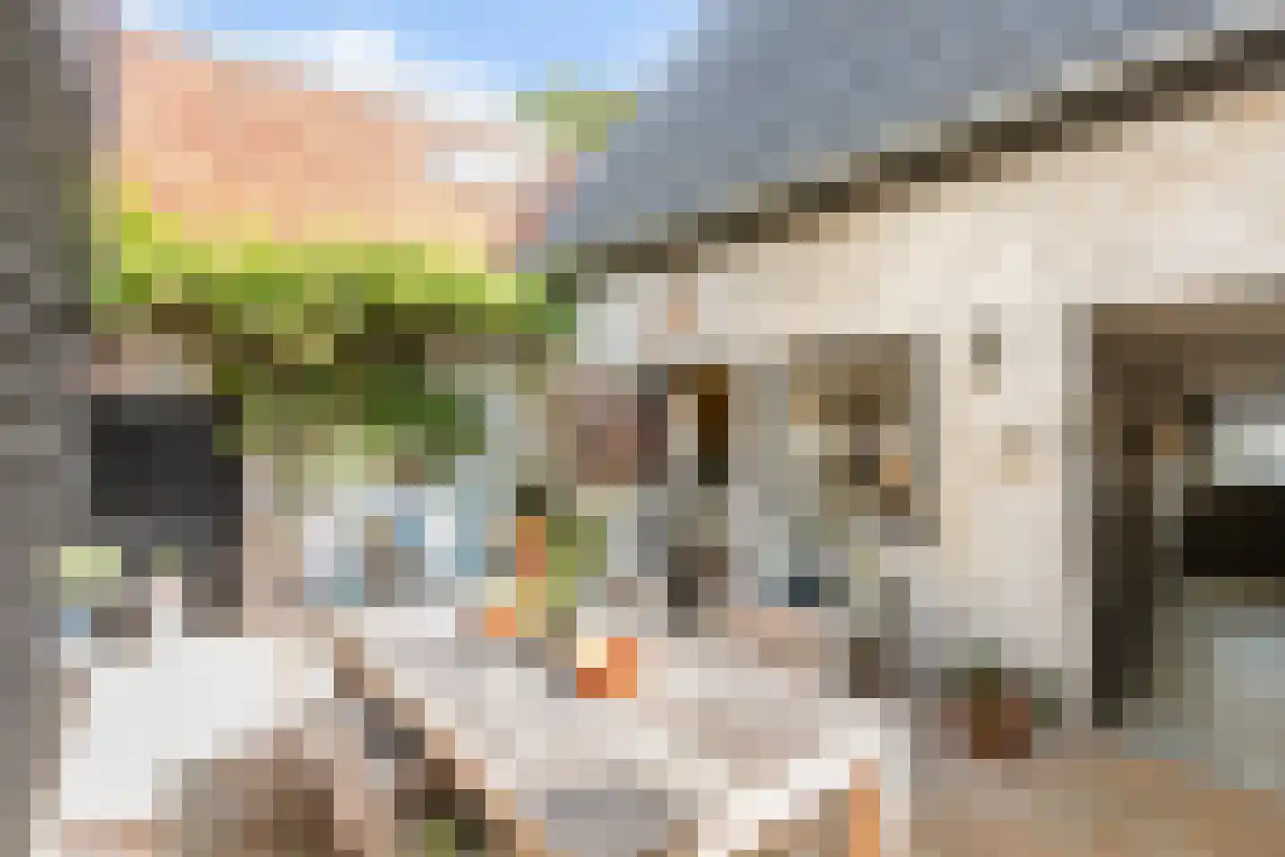Weststraat 7 Axel thumbnail 39