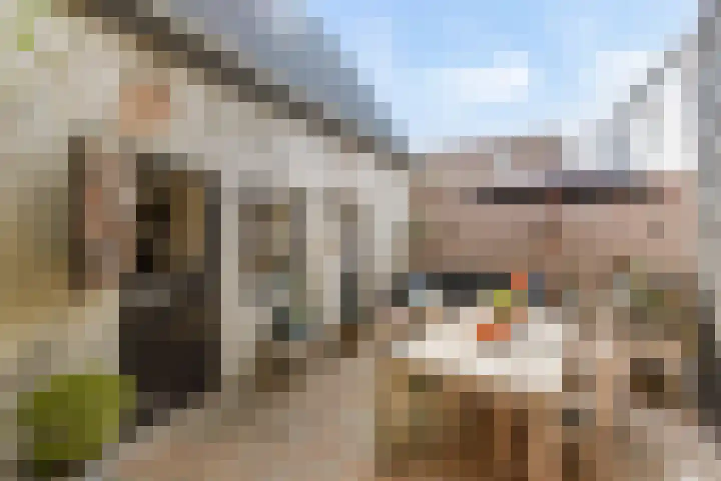 Weststraat 7 Axel thumbnail 40
