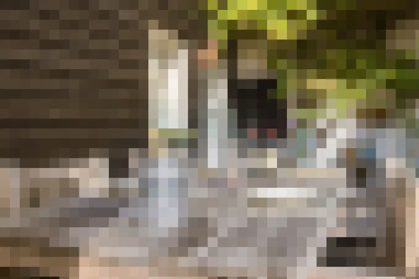 Weststraat 7 Axel thumbnail 41