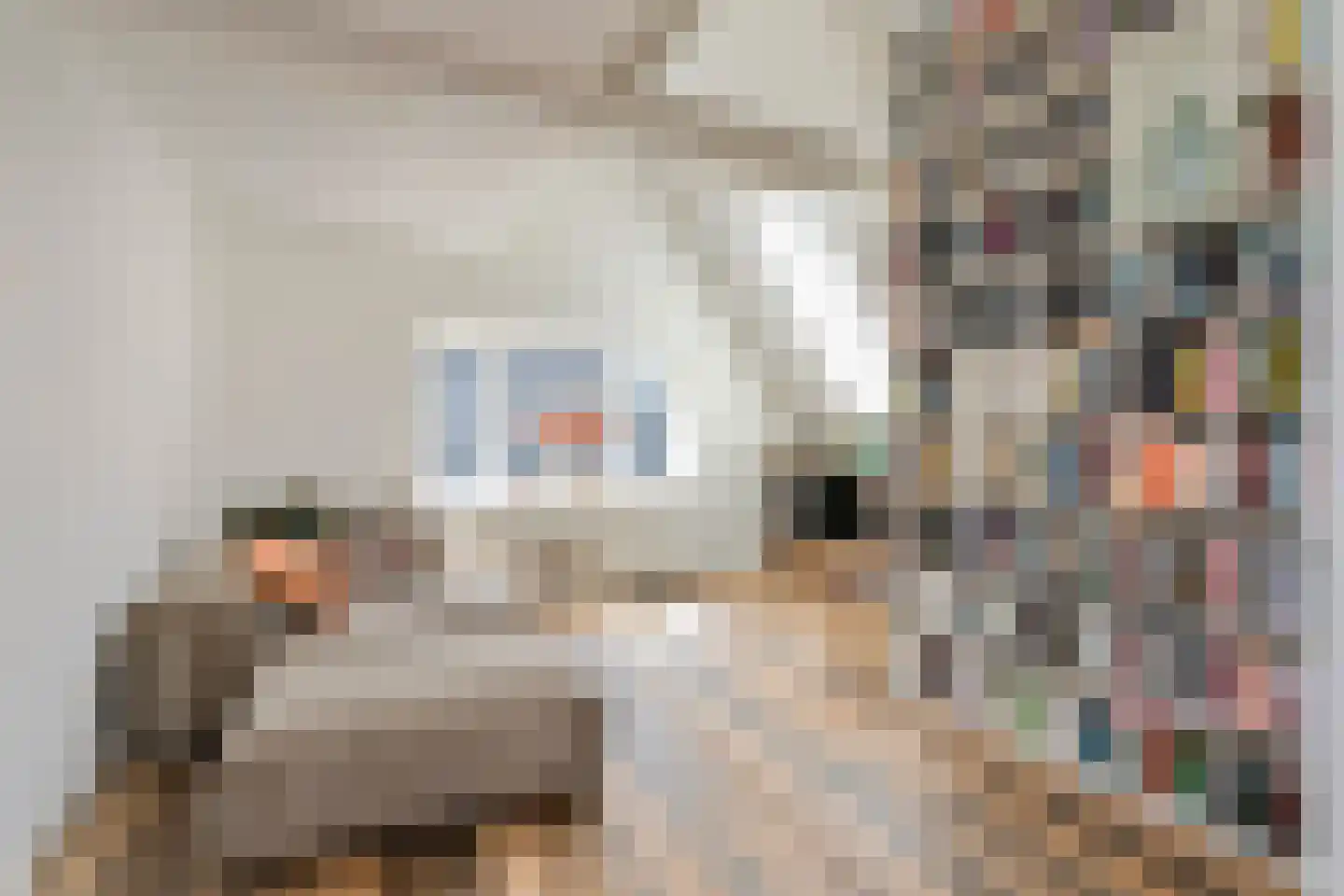 Weststraat 7 Axel thumbnail 5
