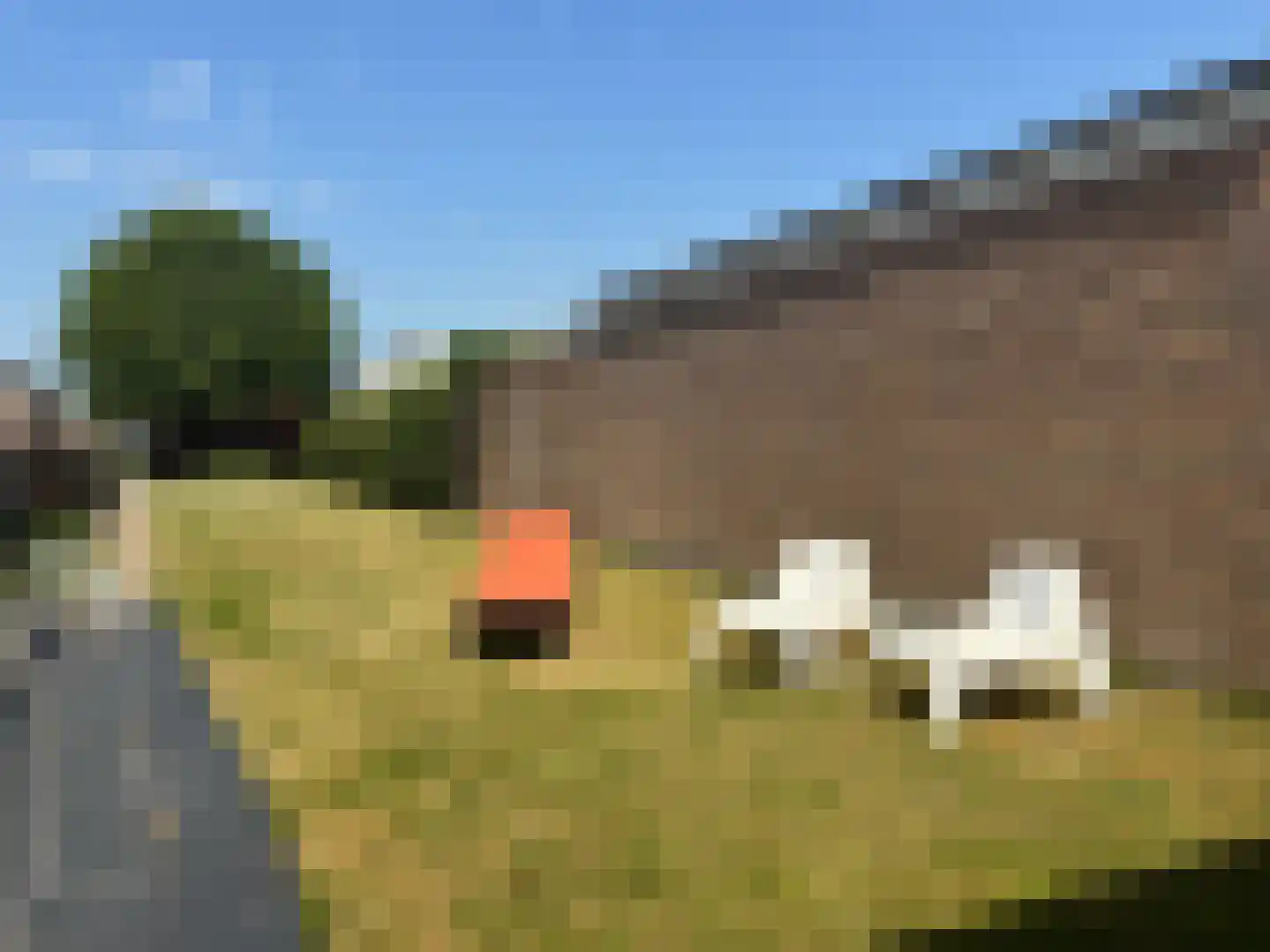 Weststraat 70 Aardenburg thumbnail 33