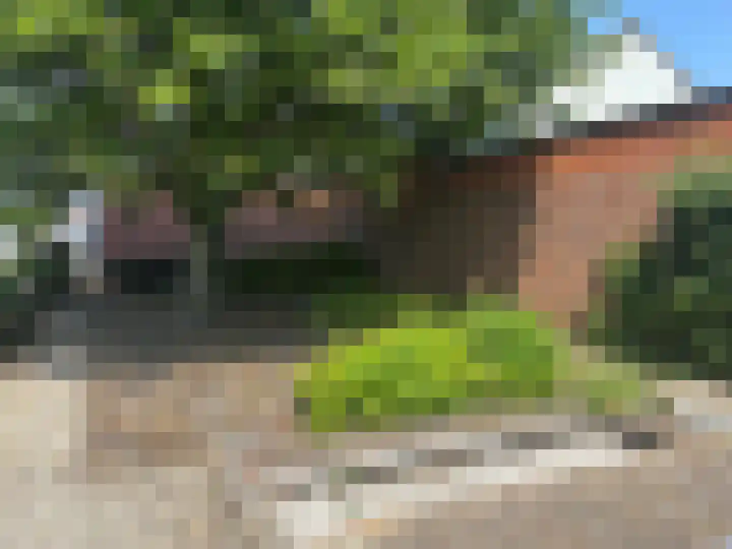 Weststraat 70 Aardenburg thumbnail 35