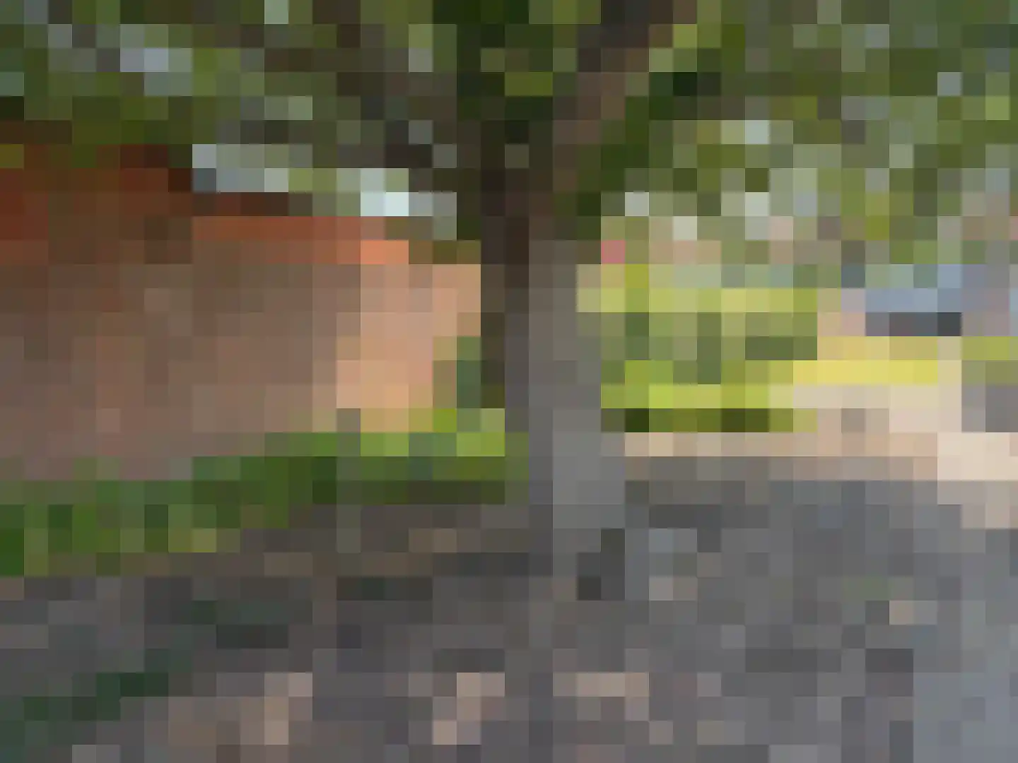 Weststraat 70 Aardenburg thumbnail 36