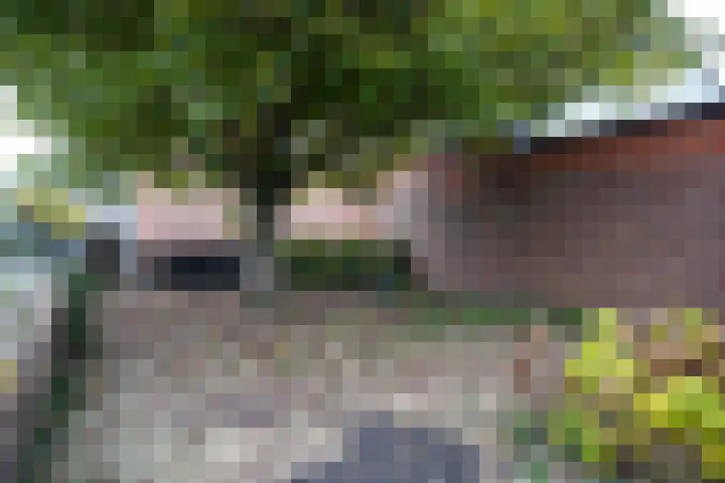 Weststraat 70 Aardenburg thumbnail 38
