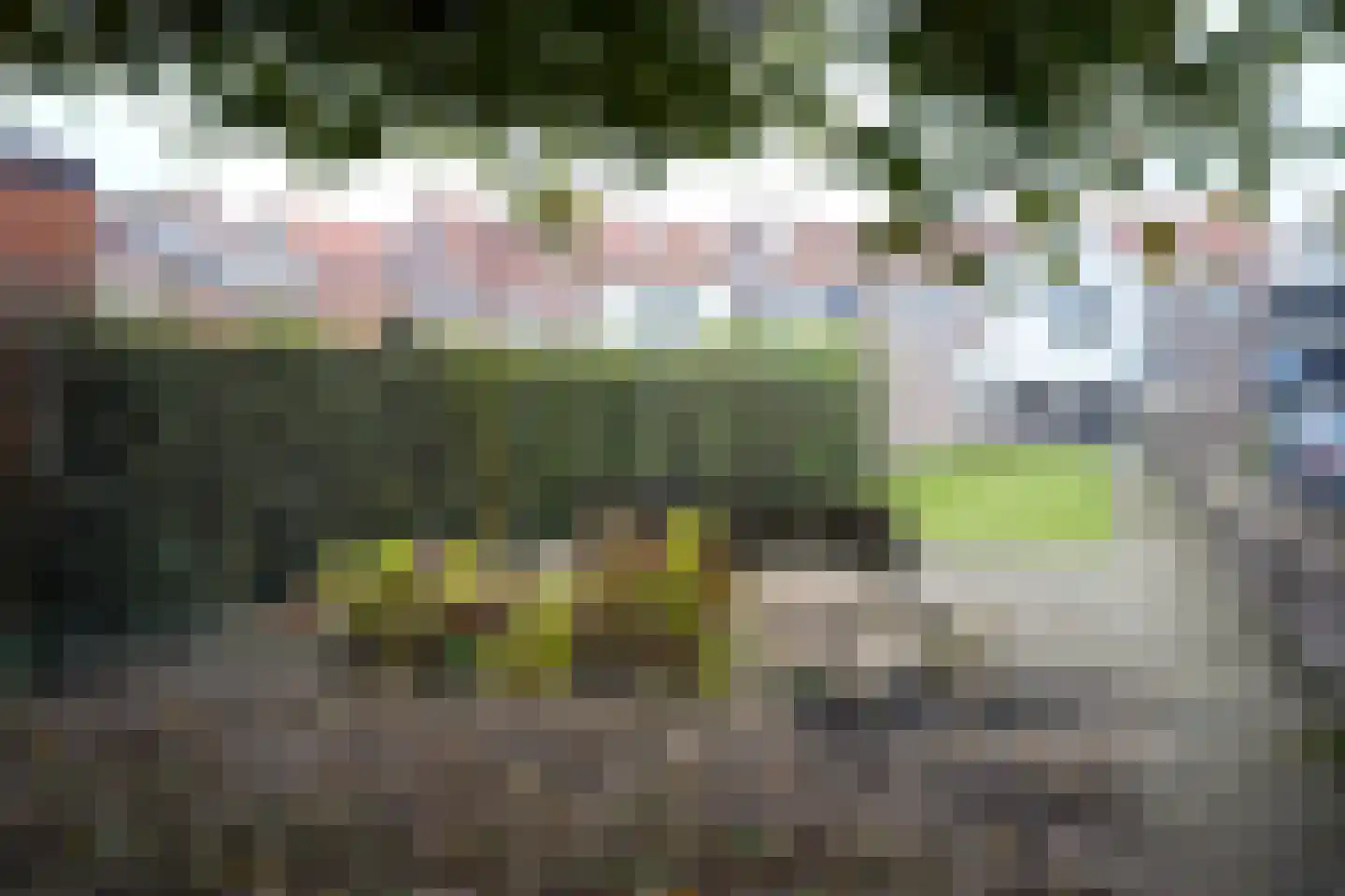 Weststraat 70 Aardenburg thumbnail 40