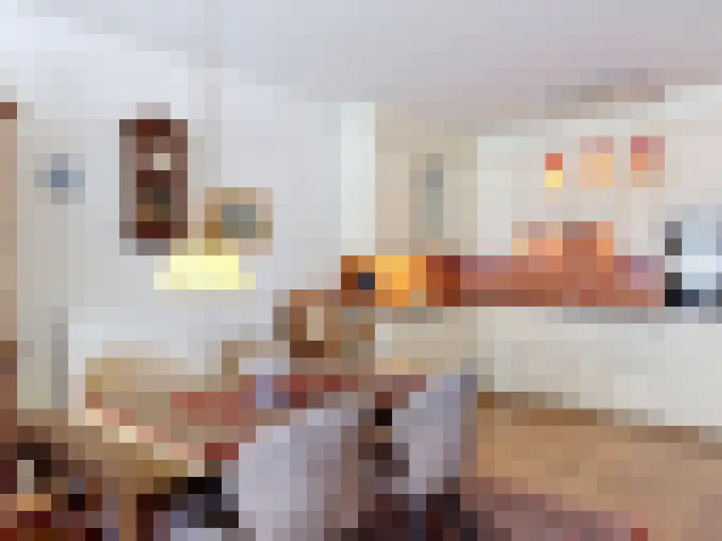 Weststraat 8 001 Aardenburg thumbnail 11