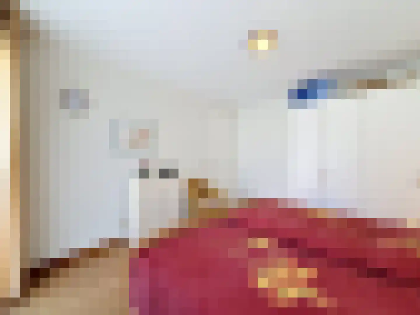 Weststraat 8 001 Aardenburg thumbnail 20