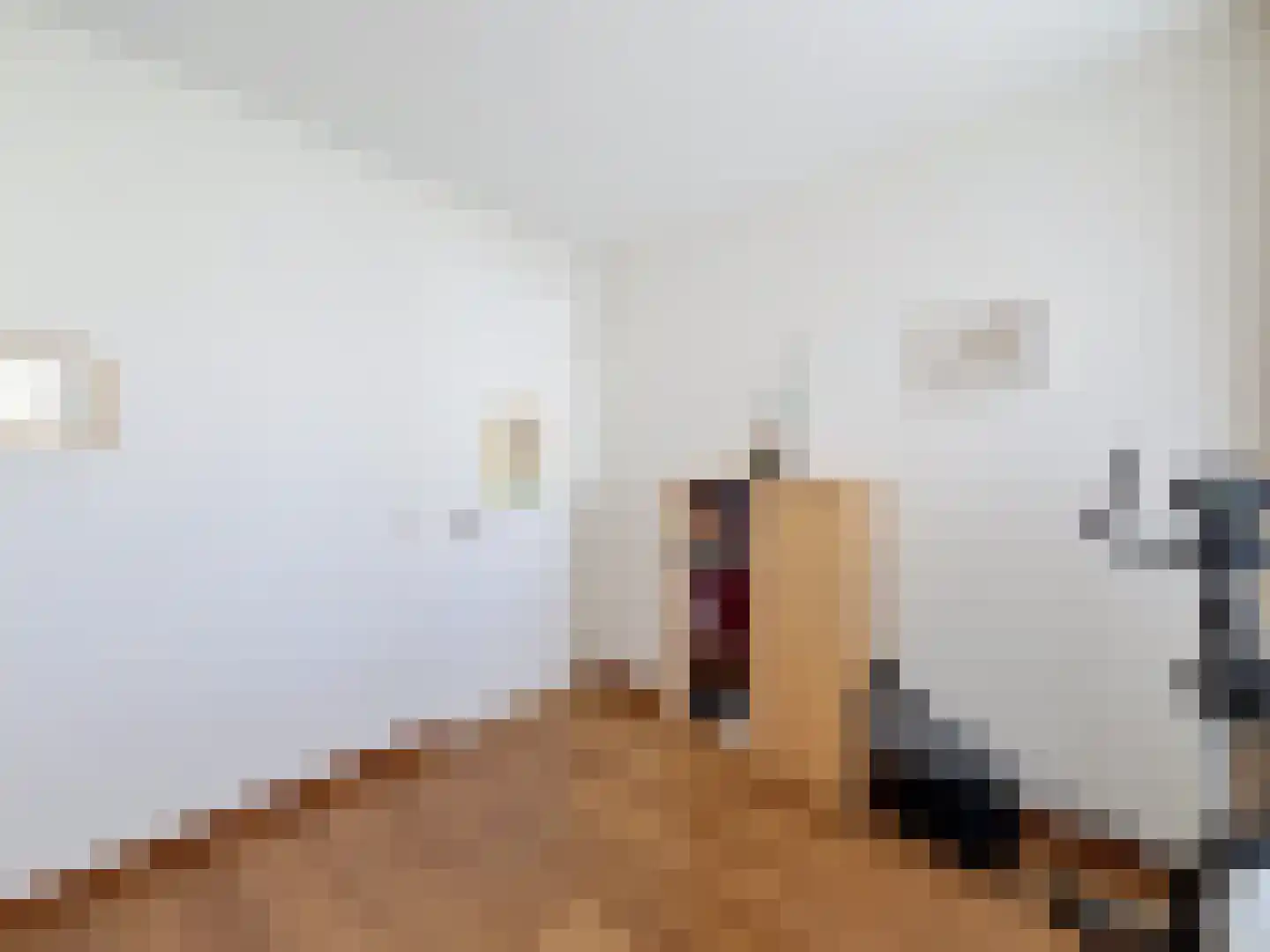 Weststraat 8 001 Aardenburg thumbnail 29
