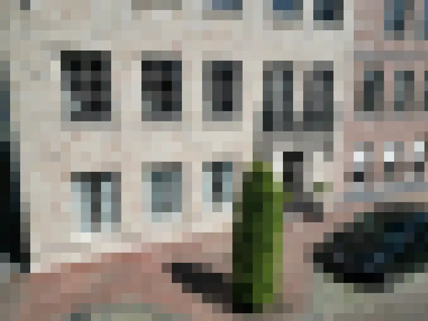 Weststraat 8 001 Aardenburg thumbnail 4