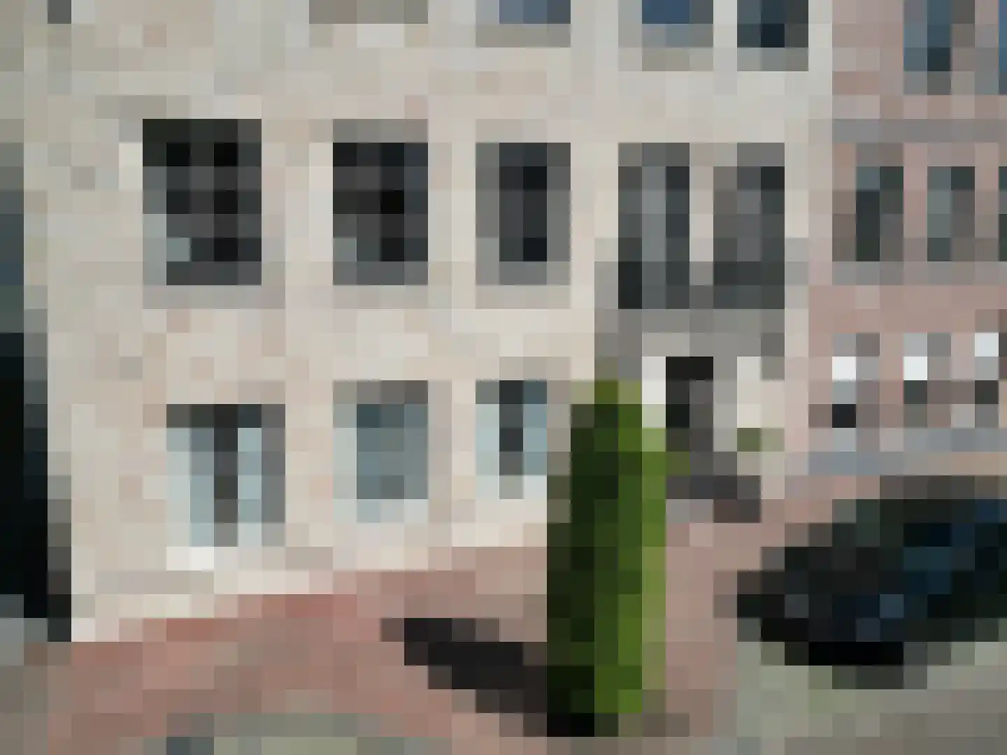 Weststraat 8 011 Aardenburg thumbnail 4