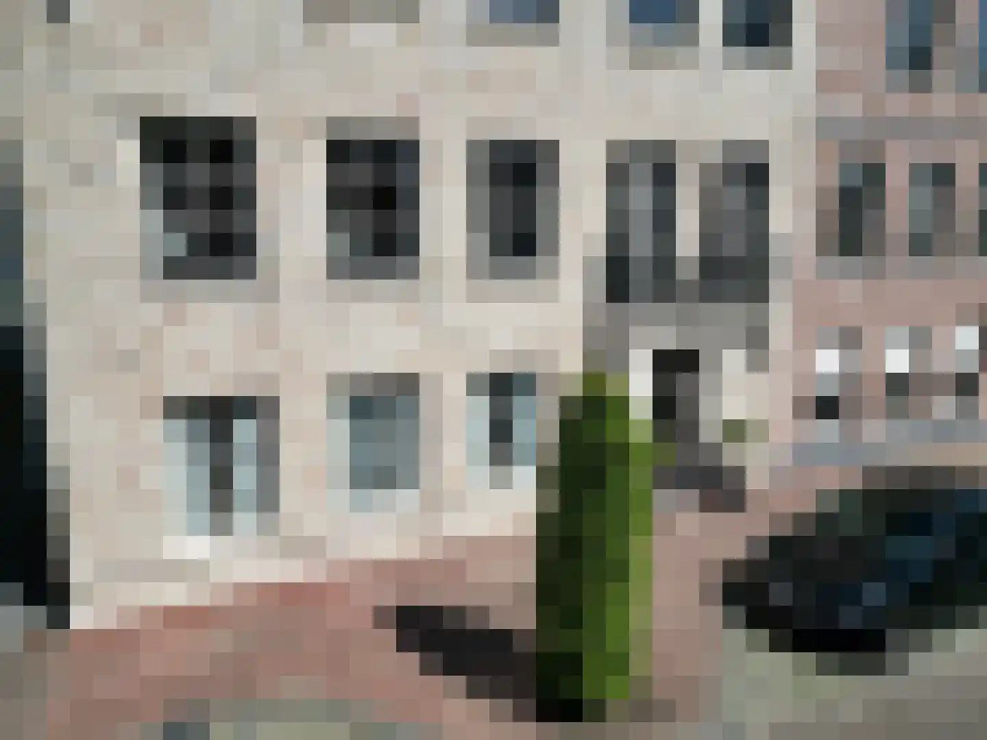 Weststraat 8 021 Aardenburg thumbnail 4