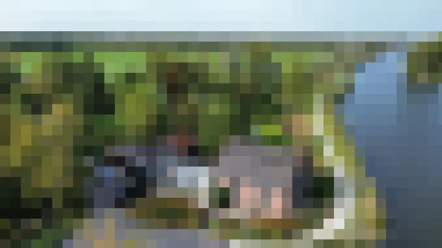 Westveensekade 3 Woerdense Verlaat thumbnail 8