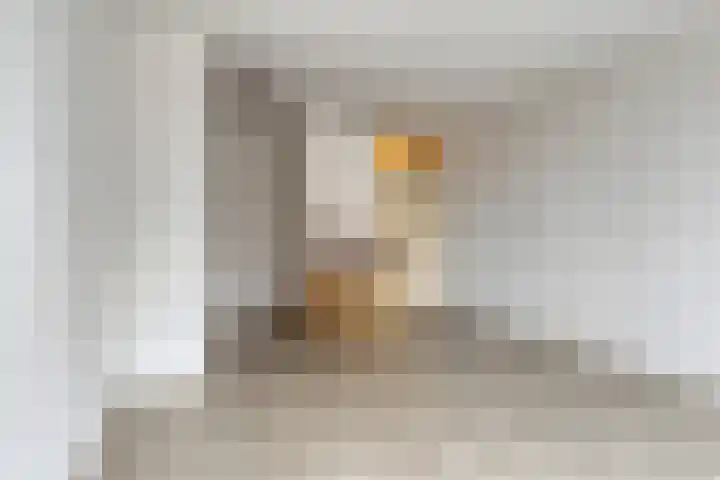 Westvest 105 Delft thumbnail 15