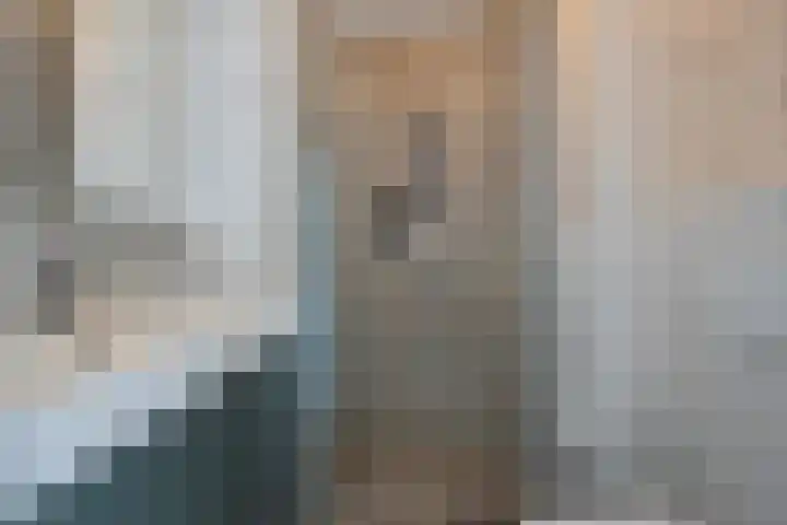 Westvest 107 Schiedam thumbnail 12