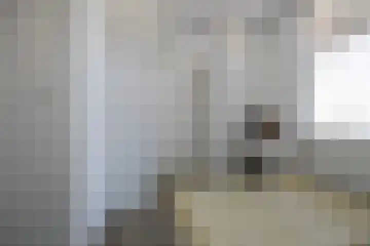 Westvest 107 Schiedam thumbnail 15