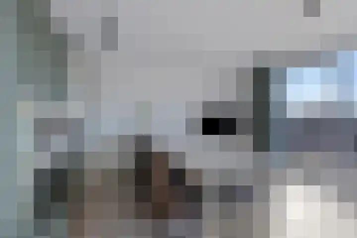 Westvest 107 Schiedam thumbnail 5