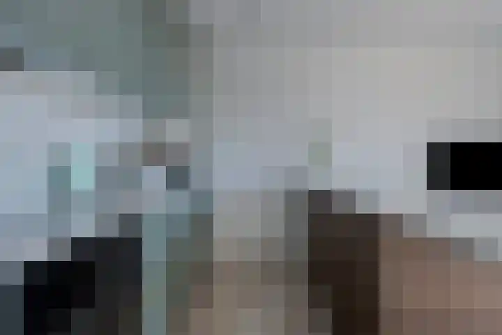 Westvest 107 Schiedam thumbnail 8