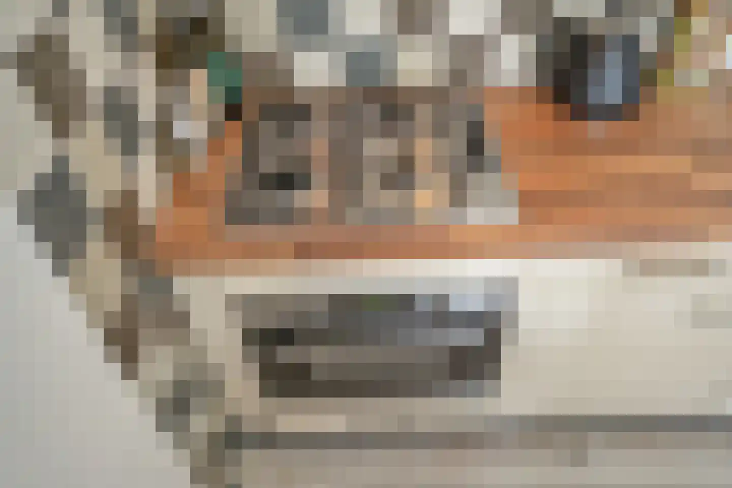 Westvest 119 Delft thumbnail 19